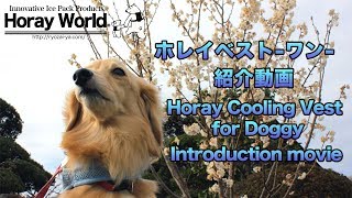 ホレイベストワン紹介動画- "Horay Cooling Vest for Doggy" introduction movie - 2019