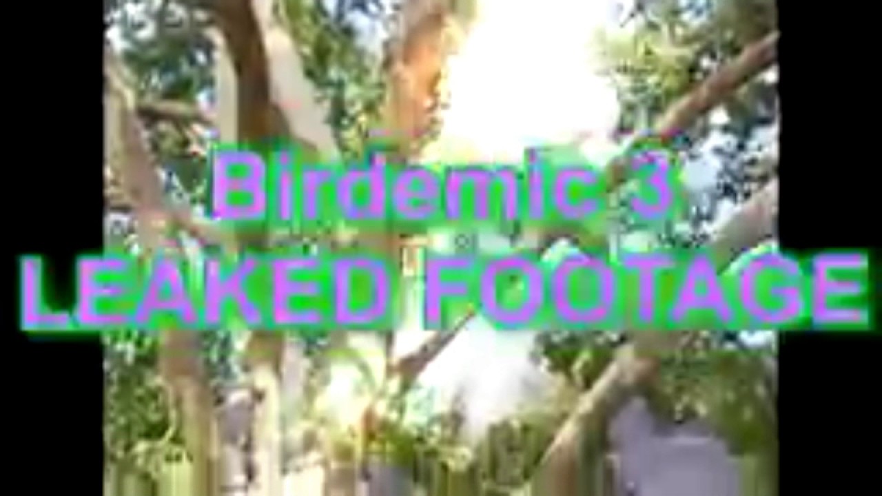 MLG (STRANGER DANGER)