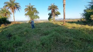 TERRENO DE 9 HECTARES À VENDA