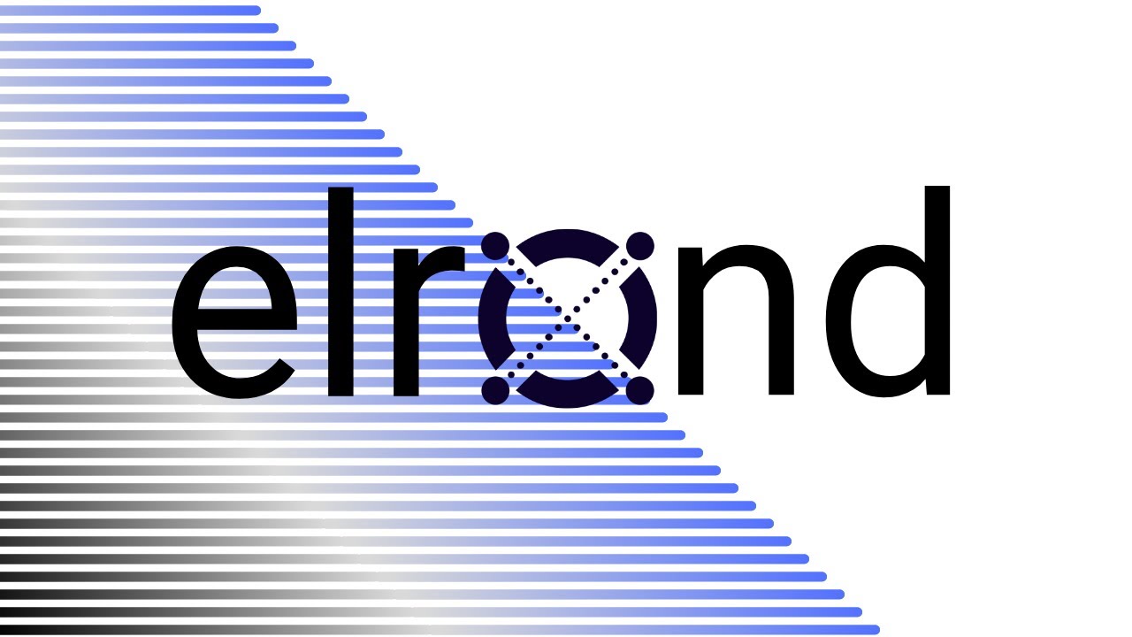 Elrond Network (EGLD) Review | Great Project with Huge Potential! [2021]