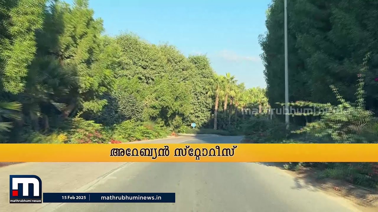 മരുഭൂമിയുടെ നാട്ടിൽ മരുപ്പച്ച പോലെയൊരു കാട്; വനപാതയിലൂടെ ഒരടിപൊളി റൈഡ് | Dubai | Mini Forest