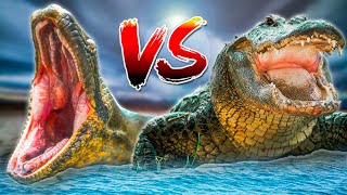 Anaconda vs Alligator- Best Apex Predator?