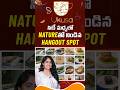 సిటీ మధ్యలో బెస్ట్ హ్యాంగ్అవుట్ స్పాట్ ❤️ #shorts #hyderabadstreetfood #streetfood #food #trending