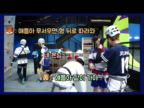 [NCT드림] 🦊 : 얘들아 무서우면 형 뒤로 따라와 🐬 : 네 횬님