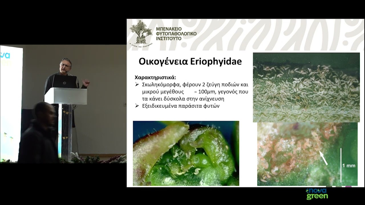 Εξελίξεις στην έρευνα για το παραμορφωτικό άκαρι της ροδακινιάς Δρ. Ε. Καπαξίδη, Δρ. Σ. Μαρνασίδης