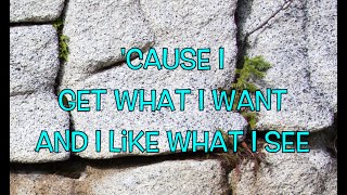 The Donnas - Take It Off (with Lyrics)