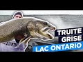 Truite grise au lac ontario  christian fournier 12 mois par anne p 07