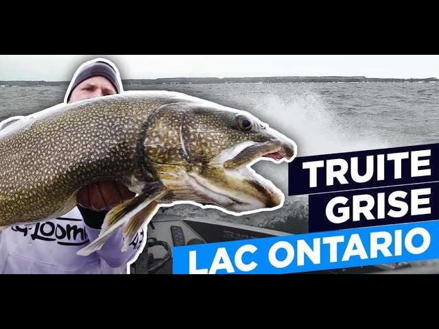 Elle pêche une truite de 28 livres sur le lac Memphrémagog - Le Reflet du  Lac