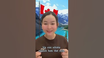 Du Học Canada Nên Chọn Ngành Gì? Top Ngành HOT, Dễ Định Cư, Lương Cao
