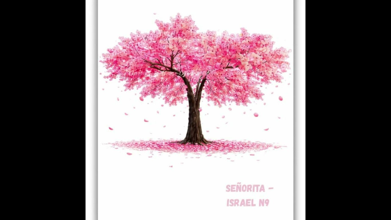 Israel n9 - Señorita (audio oficial)