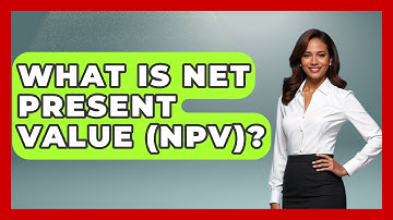 What Is Net Present Value (NPV)? - Learn About Economics