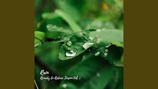 Rainy Night Rhythm