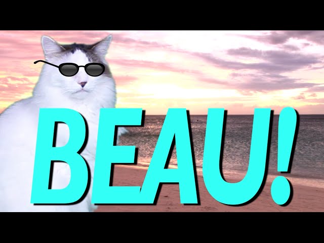 HAPPY BIRTHDAY BEAU! - EPIC CAT Happy Birthday Song