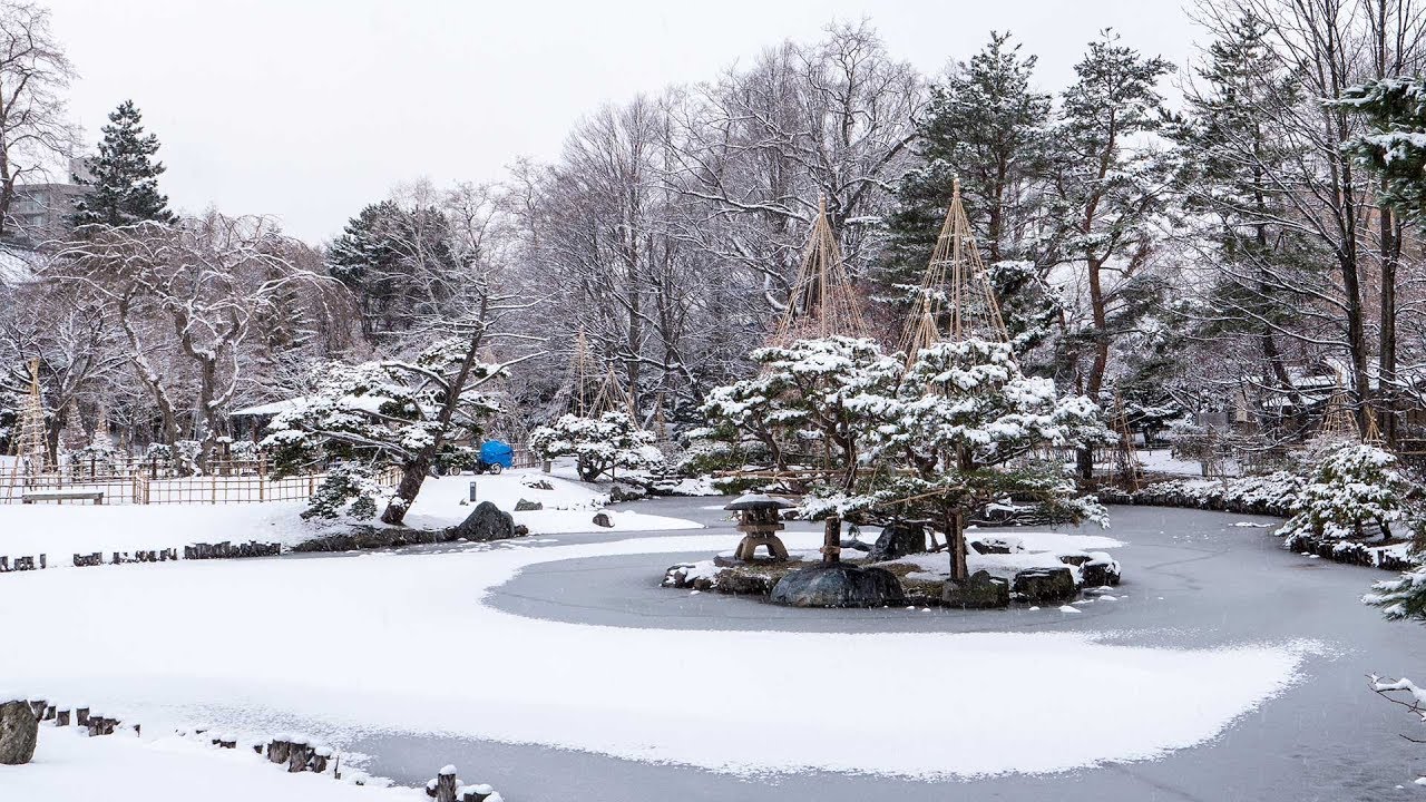 中島公園日本庭園の冬囲い Youtube