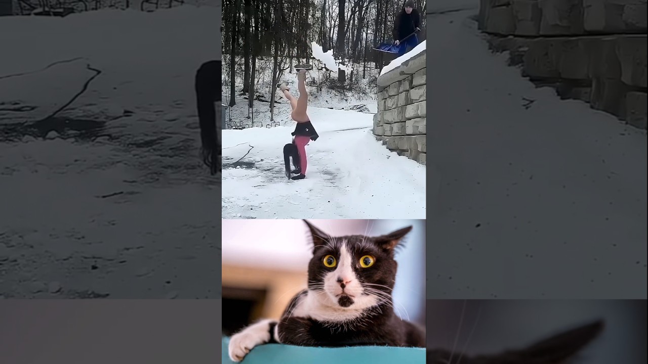 😂 #funny #shorts #viral
