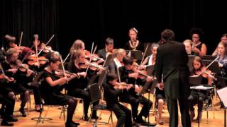 Cape Youth Orchestra Performs Beethoven's Symphony 5 in c minor, op. 67, Mvt. 4