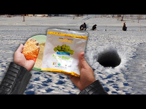 В ЯНВАРЕ КЛЮЁТ ВСЯ РЫБА НА ЭТО!