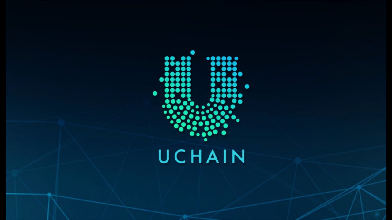 UCHAIN | Команда проекта, дорожная карта