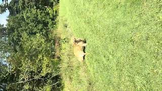 IMG 0144
