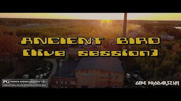 Milo Vsadzic & Stefano Stifflerini - The Ancient Bird (Official Video)