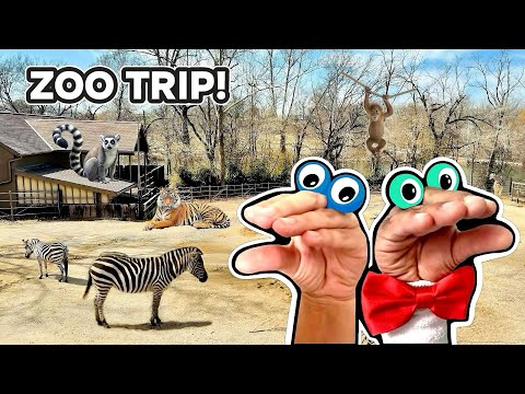 WE GO TO THE ZOO!