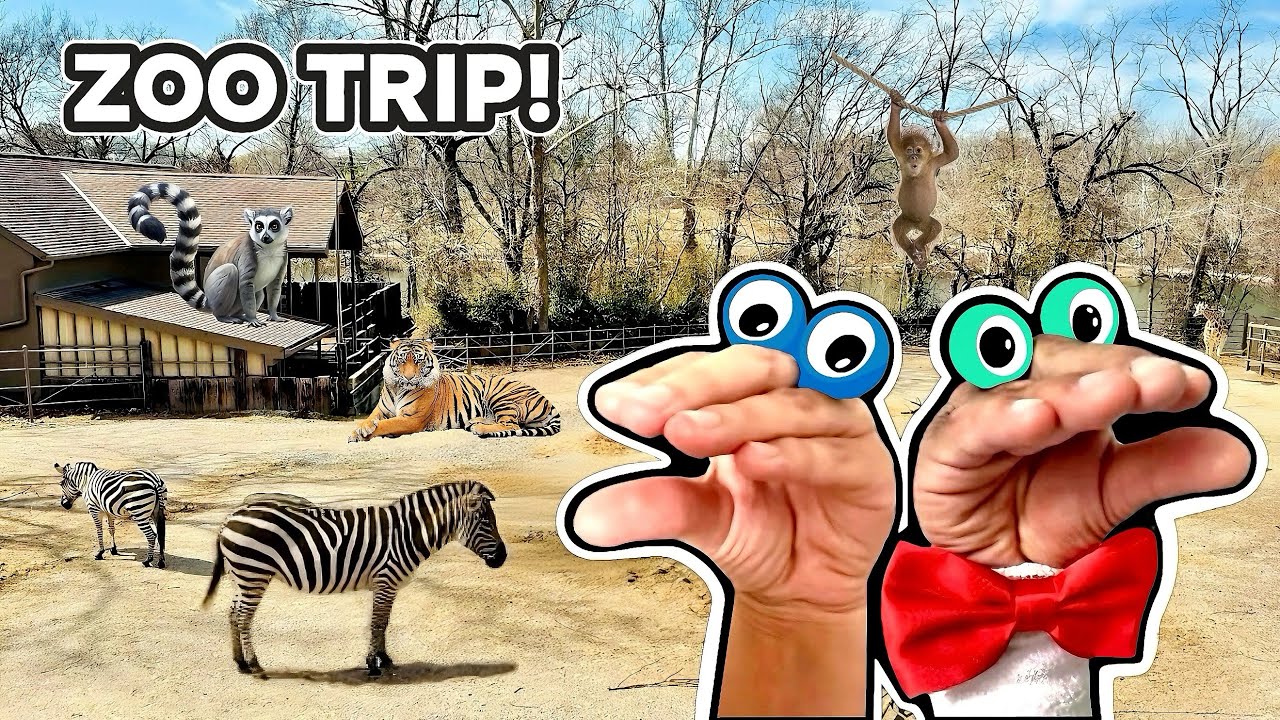 МЫ ИДЕМ В ЗООПАРК!