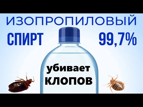 Как Спирт Уничтожает Клопов (эксперимент)