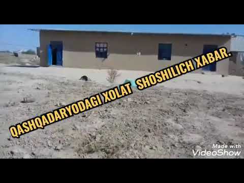 Video: Merilend Kuchukcha Tegirmonlariga Qarshi Yangi Qonun Loyihasi Bilan Kurashmoqda