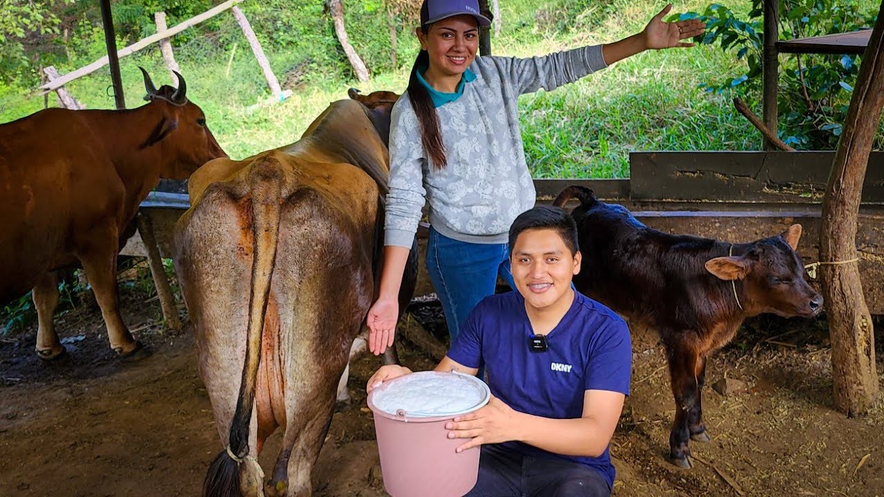 MI PRIMERA VEZ ORDEÑANDO: Así se hace el queso desde cero 🧀
