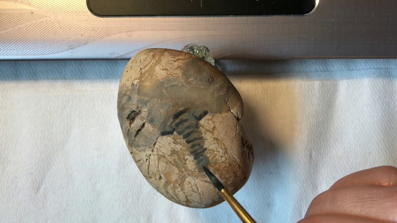 Rock Painting: Elephant