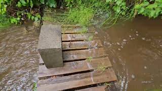 Watching A Flash Flood In My Yard