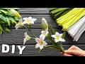 DIY Pipe Cleaner Crafts How to Make Easy Flower from Chenille Stems Pipe Cleaner Flowers Ideas