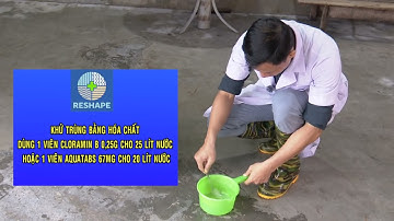 VIDEO hướng dẫn người dân xử lý nước ăn uống trong và sau lũ lụt