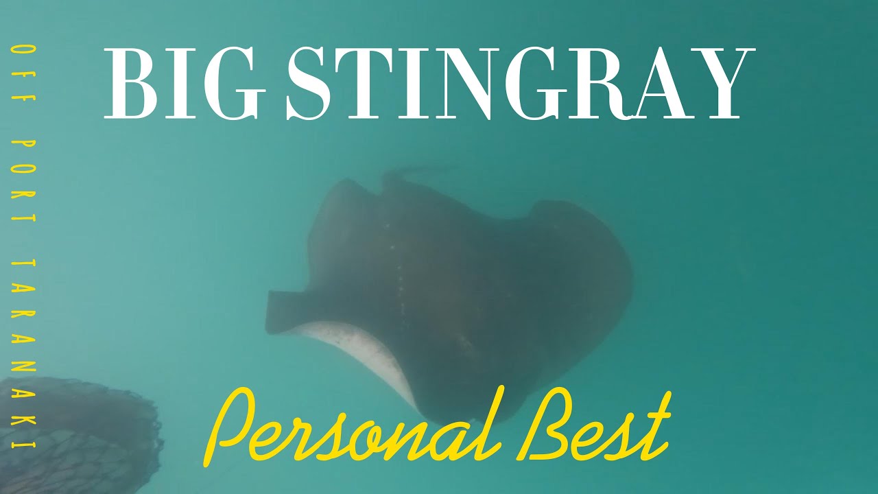 Kayak Fish/Catch n cook YouTube