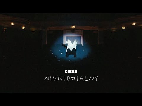 Gibbs - Niewidzialny