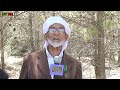 سلسلة شهادات حية المجاهد عقوني عبد الله لمصارة بوحمامة خنشلة سلسلة شهادات حية المجاهد عقوني عبد الله لمصارة بوحمامة خنشلة