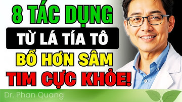 ĐỪNG Dùng LÁ TÍA TÔ! Trước Khi XEM VIDEO NÀY! Kết Quả Gây Sốc, Trị Được 8 Bệnh | #drphanquang
