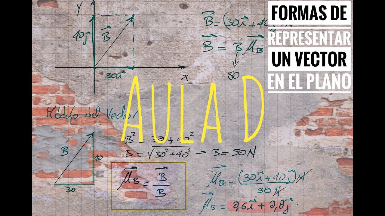 Formas de representar un vector - YouTube