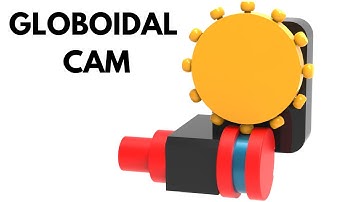 How Globoidal Cams Work – Smooth Indexing!