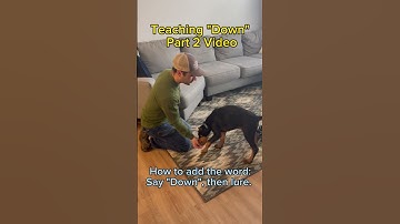 How to teach dog to lie down (part 2 video: adding the word/cue) - puppy training