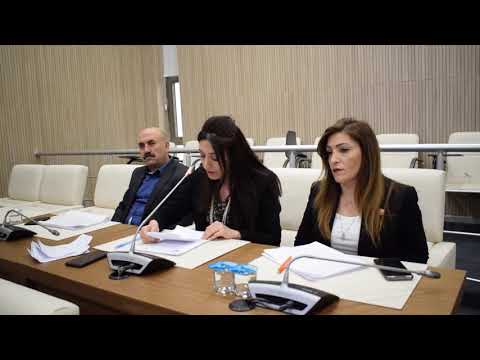 Haber Etkin - CHP Eyüpsultan Belediye Meclis Üyesi Filiz Gökçe'nin meclis konuşması