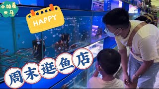 中国人🇨🇳在马来西亚🇲🇾的日常 周末陪老公去逛他喜欢的鱼店 龙鱼 金鱼 荧光鱼 各种各样的鱼