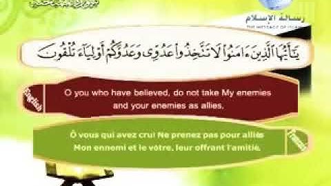 الشيخ مصطفى اللاهوني سورة( الممتحنة)