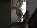 Electric Fence Lahore May2024