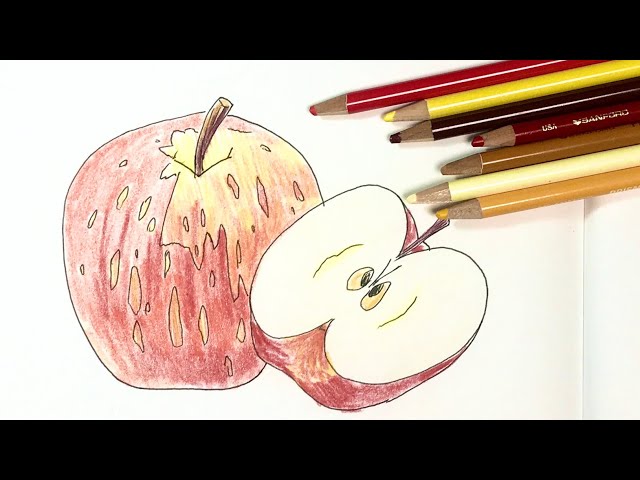 How to draw an apple! Easy illustration using colored pencils and
