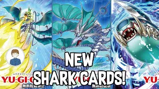 9 NEW SHARK CARDS! Are Sharks Forreal Now??? Yu-Gi-Oh!