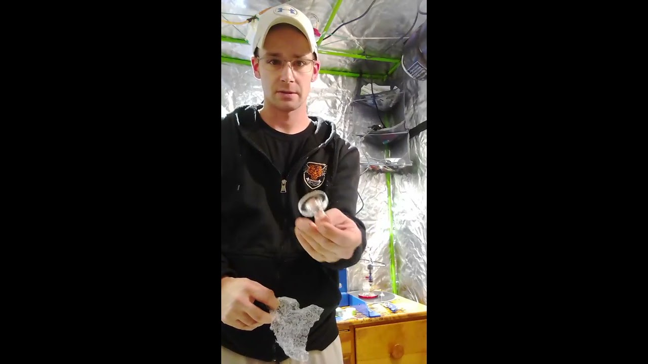 Unboxing rosin collection kit and filter bags from dulytek