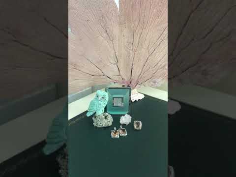 Интересно о красивом,полезном