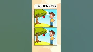 Quick Challenge! Can You Spot the Changes? #530