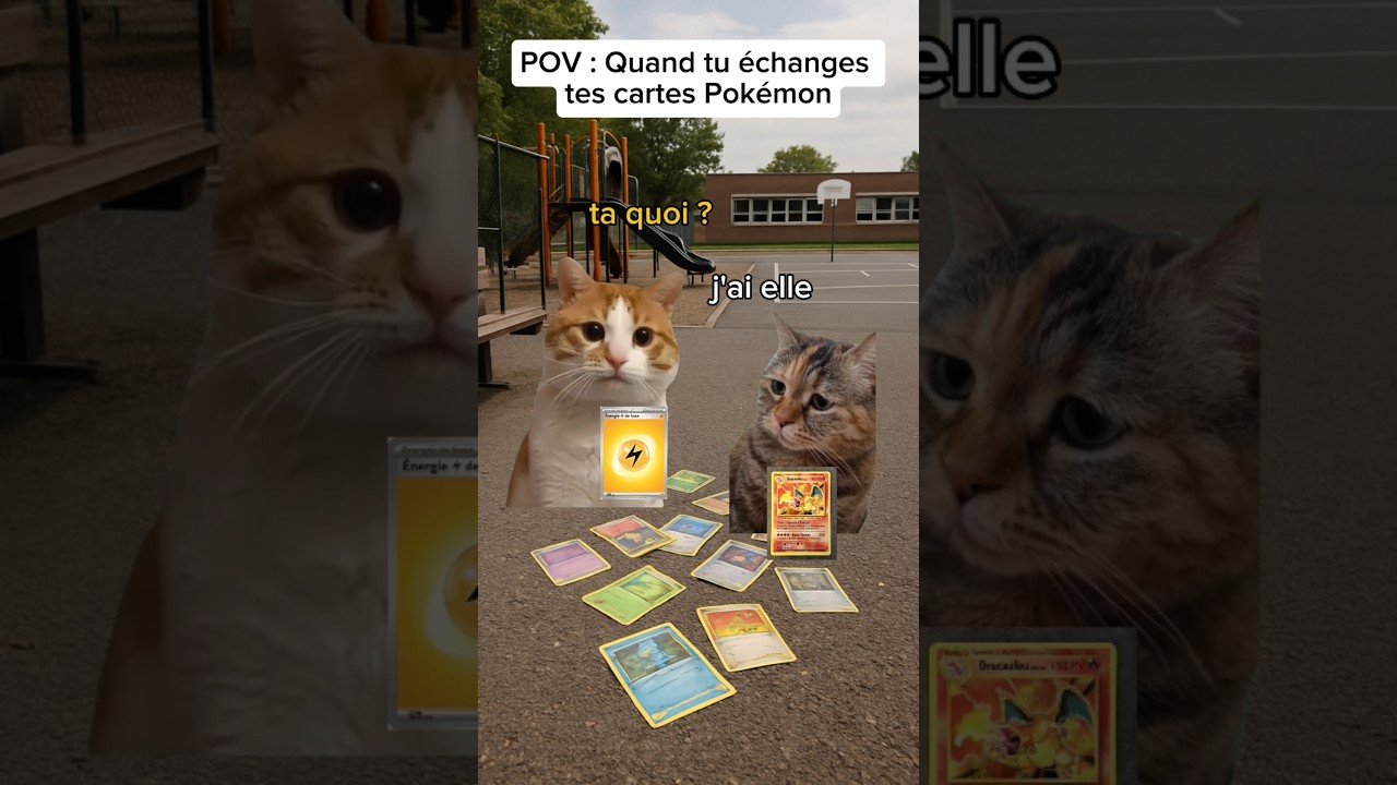 POV : Quand tu échanges tes cartes pokemon 